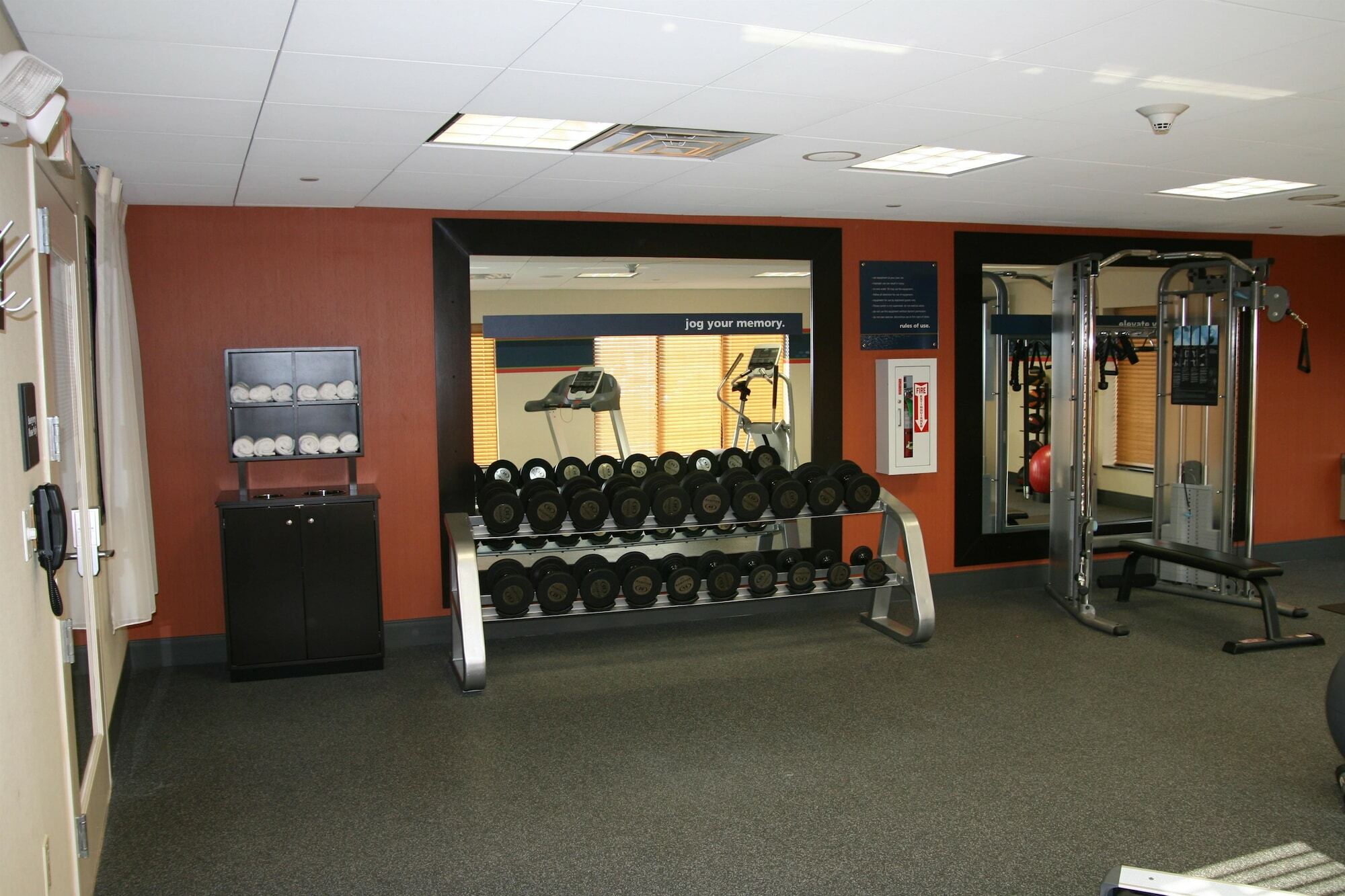 Hampton Inn Jericho - Westbury Facilidades foto
